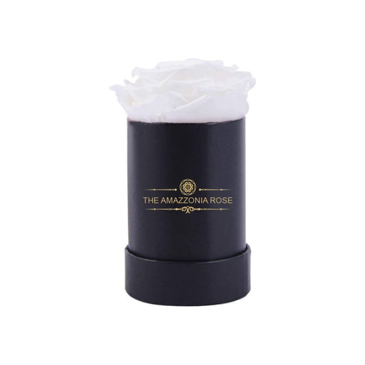Amazzonia Bouquet 7 Rose Stabilizzate Lunga Durata Cofanetto D'amore - Bianche