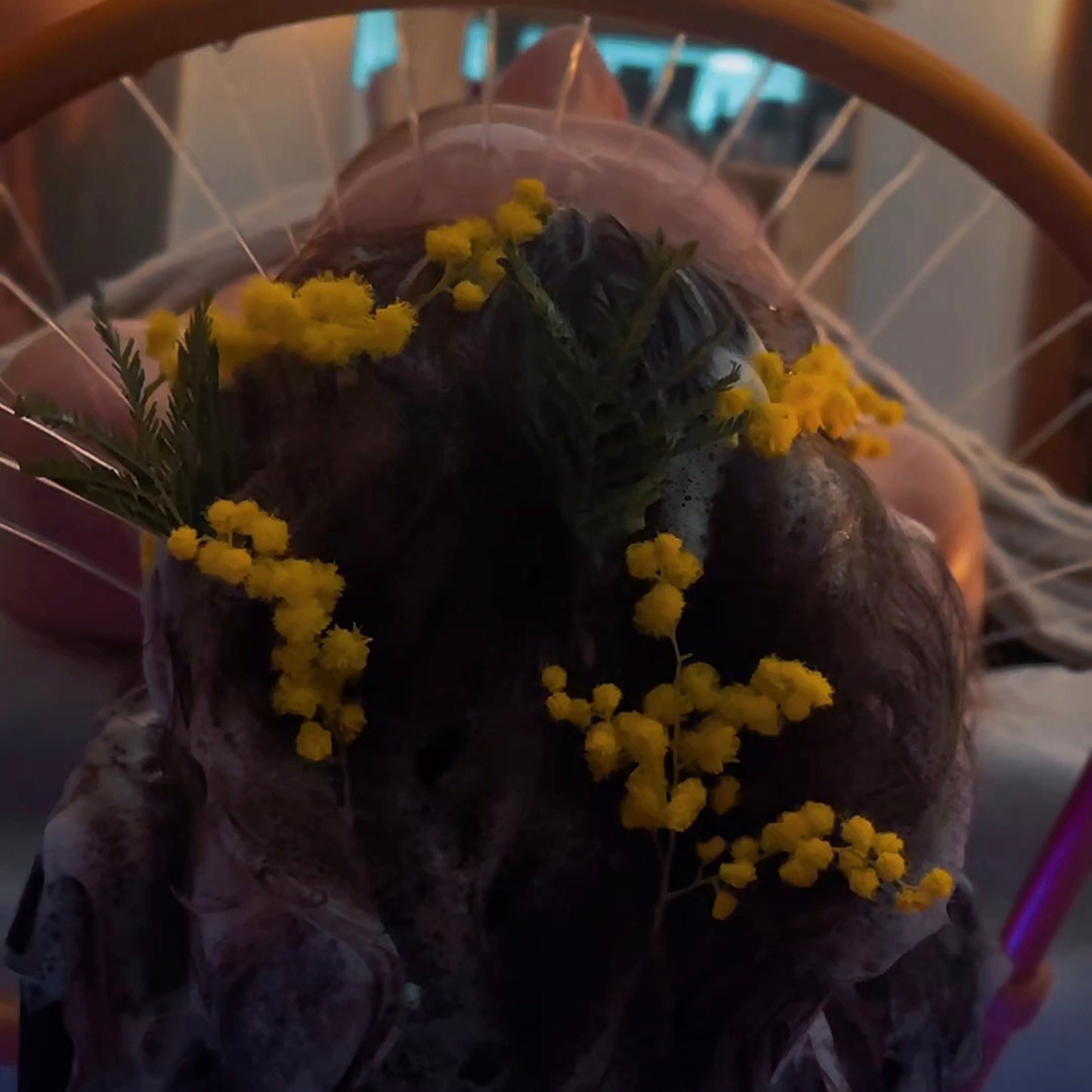 Special Mimosa Woman Hair Spa