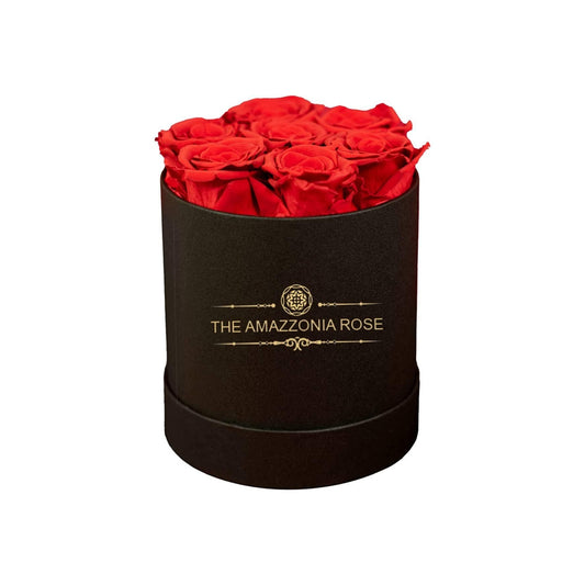 Amazzonia Bouquet 7 Rose Stabilizzate Lunga Durata Cofanetto D'amore - Rosse